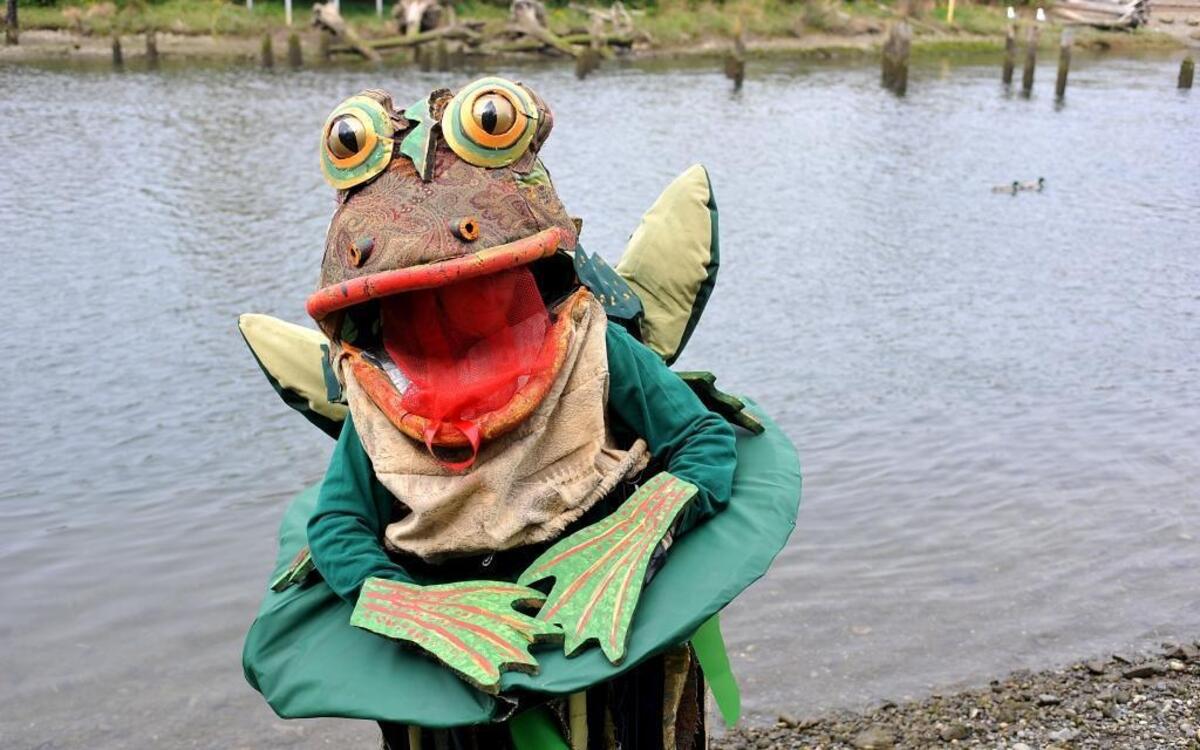 People dress up in nature costumes for Bellingham’s annual Procession of the Species parade. A recent study ranked Bellingham as the eighth most ‘normal’ city in the country, based on 20 variables, most of them economic. However many people consider Bellingham to be anything but a normal city.