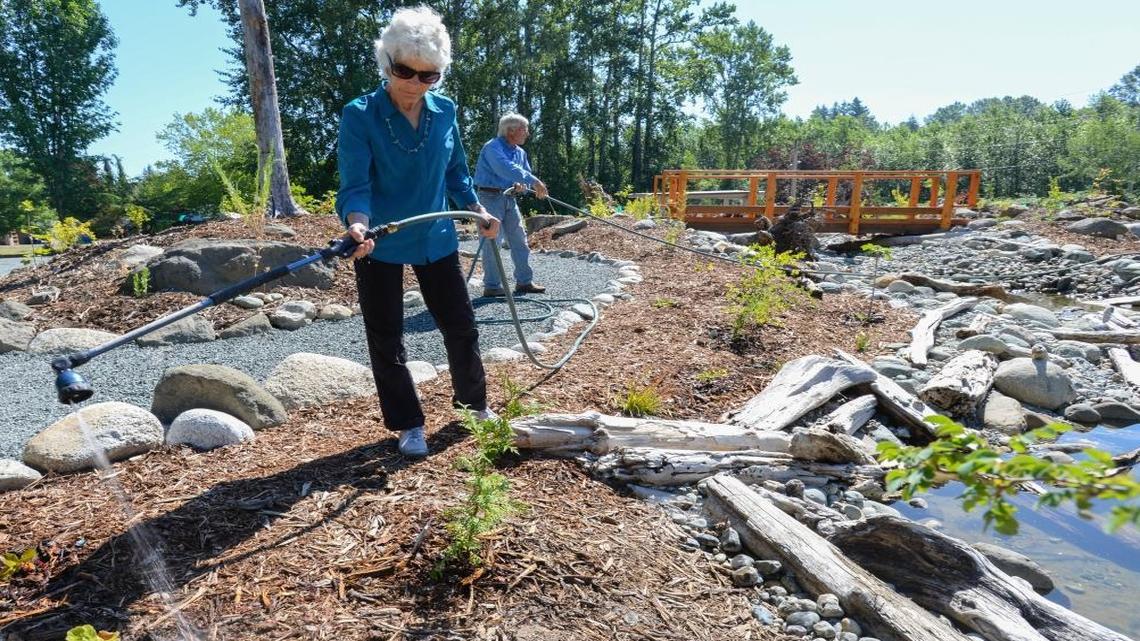 Group that helps salmon reach home finally finds its own home