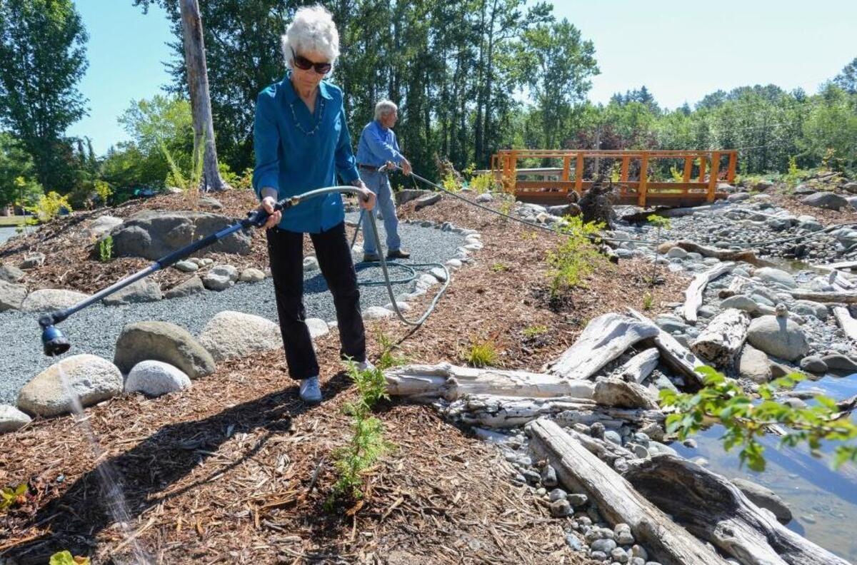 Elaine McRory and her husband, Mike McRory, water plants at the demonstration garden at the Nooksack Salmon Enhancement Association’s new base of operations on East Bakerview Road on Tuesday, June 28, 2016.