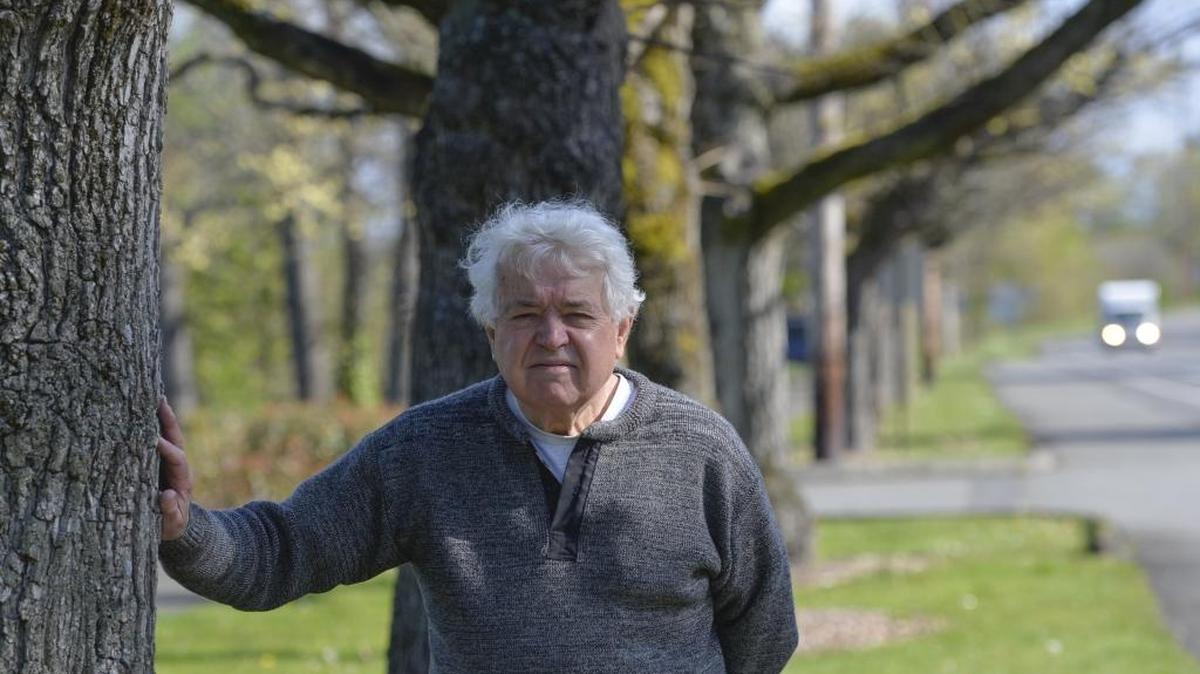 Shown in April 2015, Brian Griffin stands by a row of smoothleaf elms on South State Street in Bellingham. The city of Fairhaven planted the trees in April 1896 in honor of Arbor Day, a story recounted in Griffin’s new book, “Fairhaven, a History.”