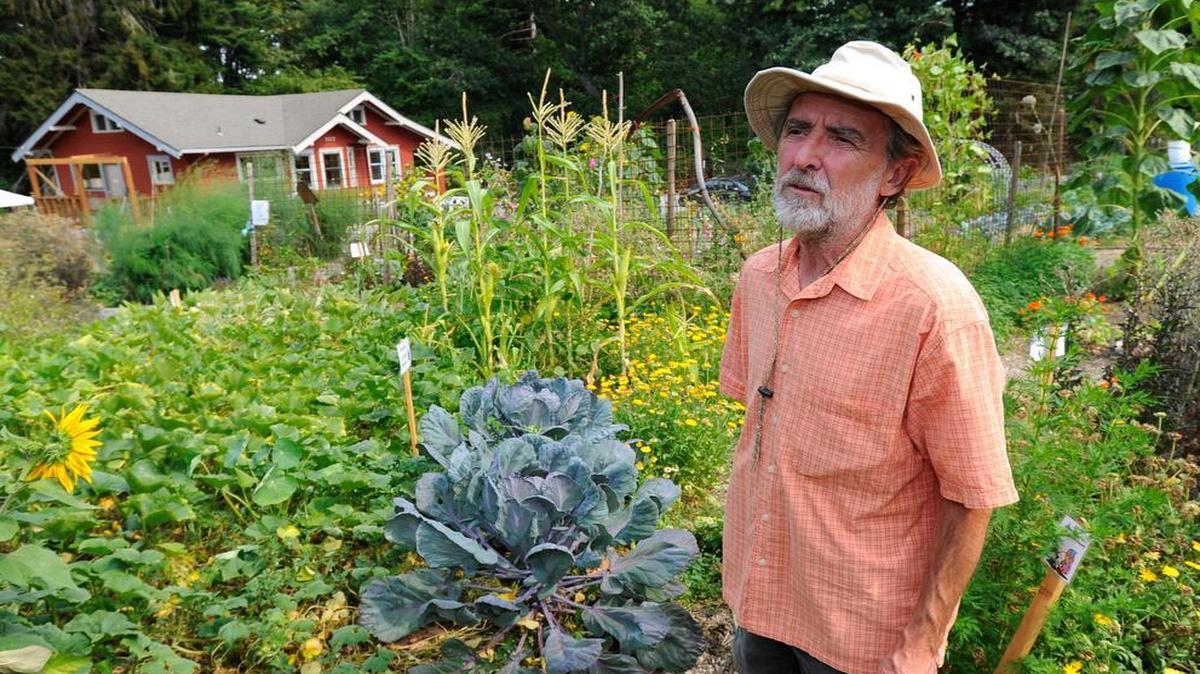 
Board president Steve Wilson gives a tour of the Center for Local Self Reliance garden on Wednesday, Aug. 12, 2015. The center occupies land and a house that used to be a rose garden and a park caretaker’s home next to Fairhaven Park. The house is being remodeled to provide education and meeting space, and should be finished by early 2016 or sooner, Wilson said.
