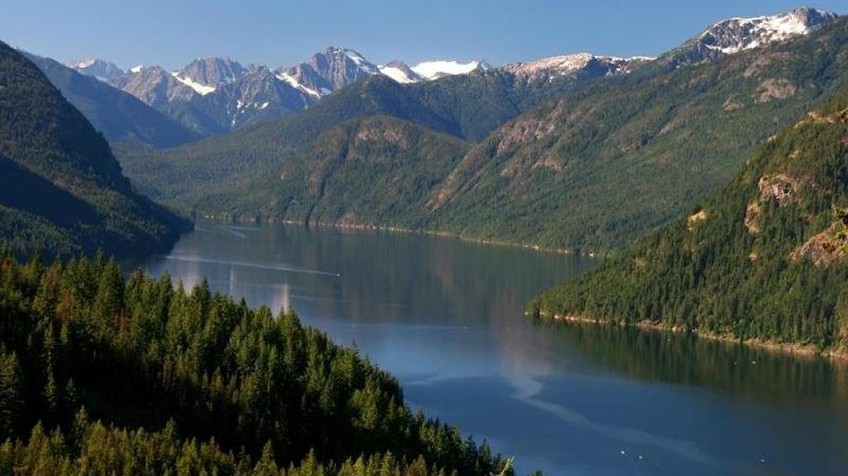 Ross Lake is in the North Cascades National Park in Whatcom County. To the north, the Skagit River’s headwaters are protected by Canadian parks. But, to preserve historic mining rights, the B.C. government allowed logging there this summer. Logging could threaten Ross Lake bull trout and disrupt possible grizzly-bear recovery efforts, some say. They fear logging, and road construction, will open the door further to mining, which they argue represents a grave threat to Puget Sound salmon on the horizon.