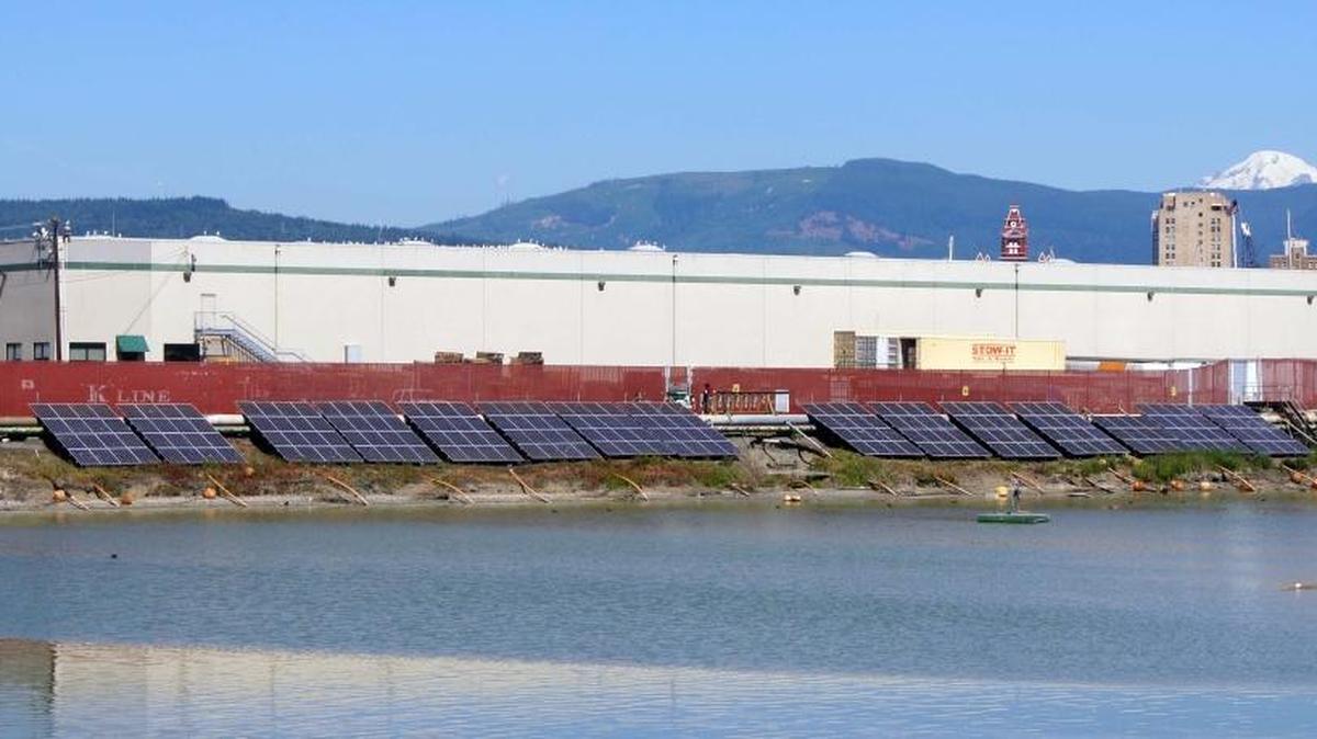 Itek Energy’s newly completed employee-owned community solar project can be seen from the new waterfront trail that runs along the old Georgia-Pacific Corp. wastewater treatment lagoon.