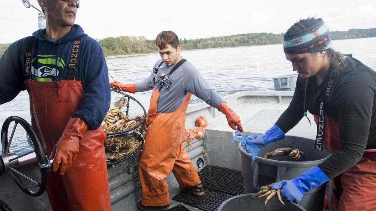Lummi fisherman Jay Julius steers his boat as his cousin Austin Brockie, center, and daughter Teja Julius, right, sort through fresh-caught crab on Sept. 15, 2015, near Cherry Point.