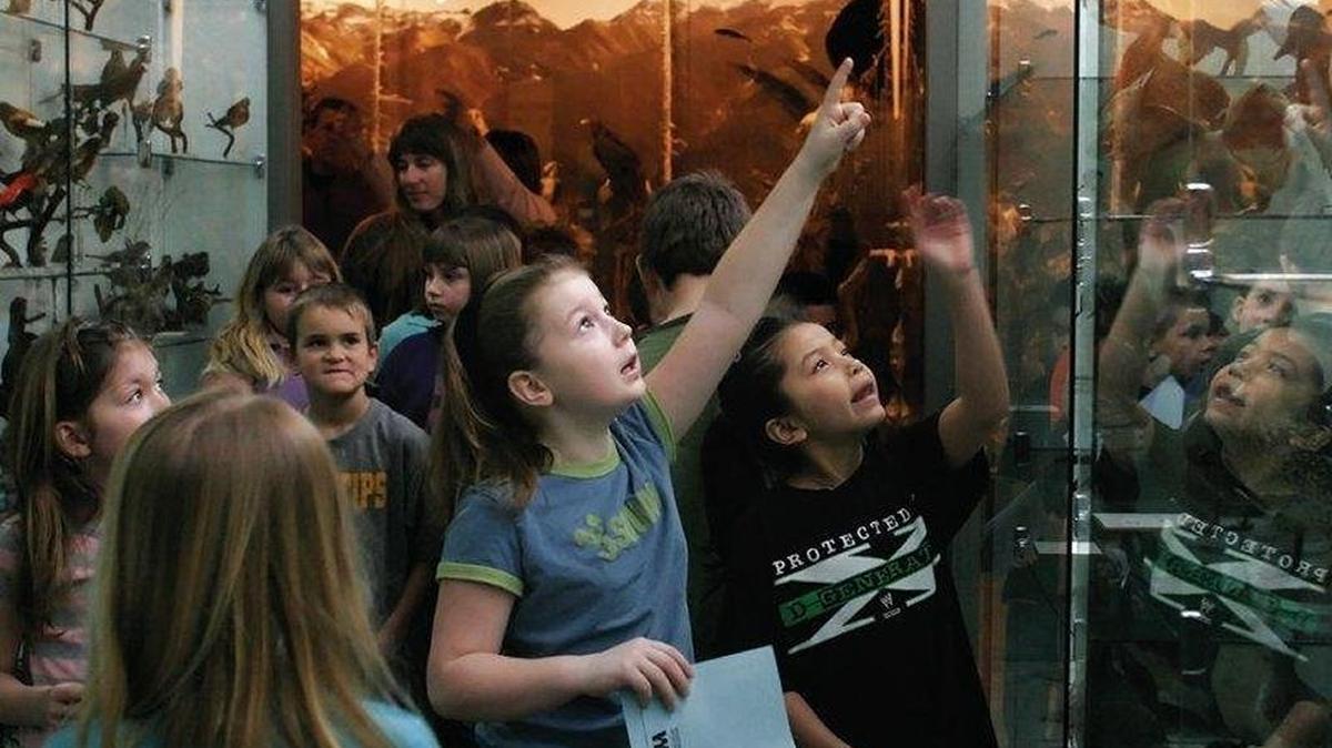 Syre Education Center visitors search through the glass cases for the answers to their activity book clues in 2007. The museum, usually limited to special tours, will be open May 20 to June 4, 2016.