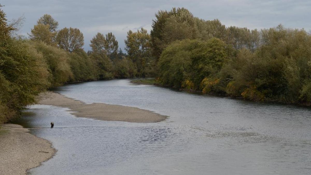 The Nooksack River from the Hannegan Road bridge south of Lynden, Oct 7, 2016. The Washington state Supreme Court recently ruled that Whatcom County must make sure there is enough available water before issuing permits for new developments in rural areas, in part to protect salmon-bearing streams like the Nooksack. The case has been working its way through the courts since 2013.