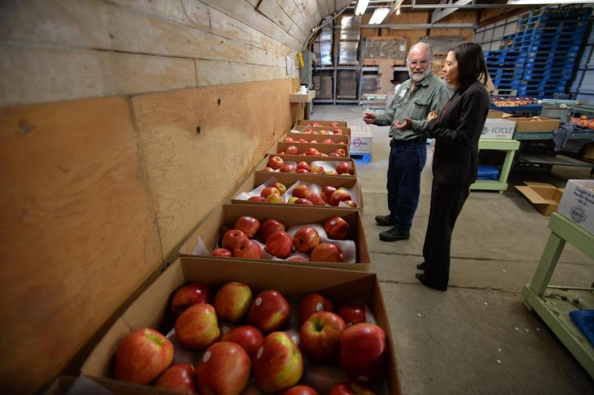 John Belisle, co-owner of Bellewood Acres, gives U.S. Sen. Maria Cantwell a tour of his apple orchard and distillery north of Bellingham on Oct. 23, 2013. The Belisles are putting the farm up for sale as they prepare for retirement.