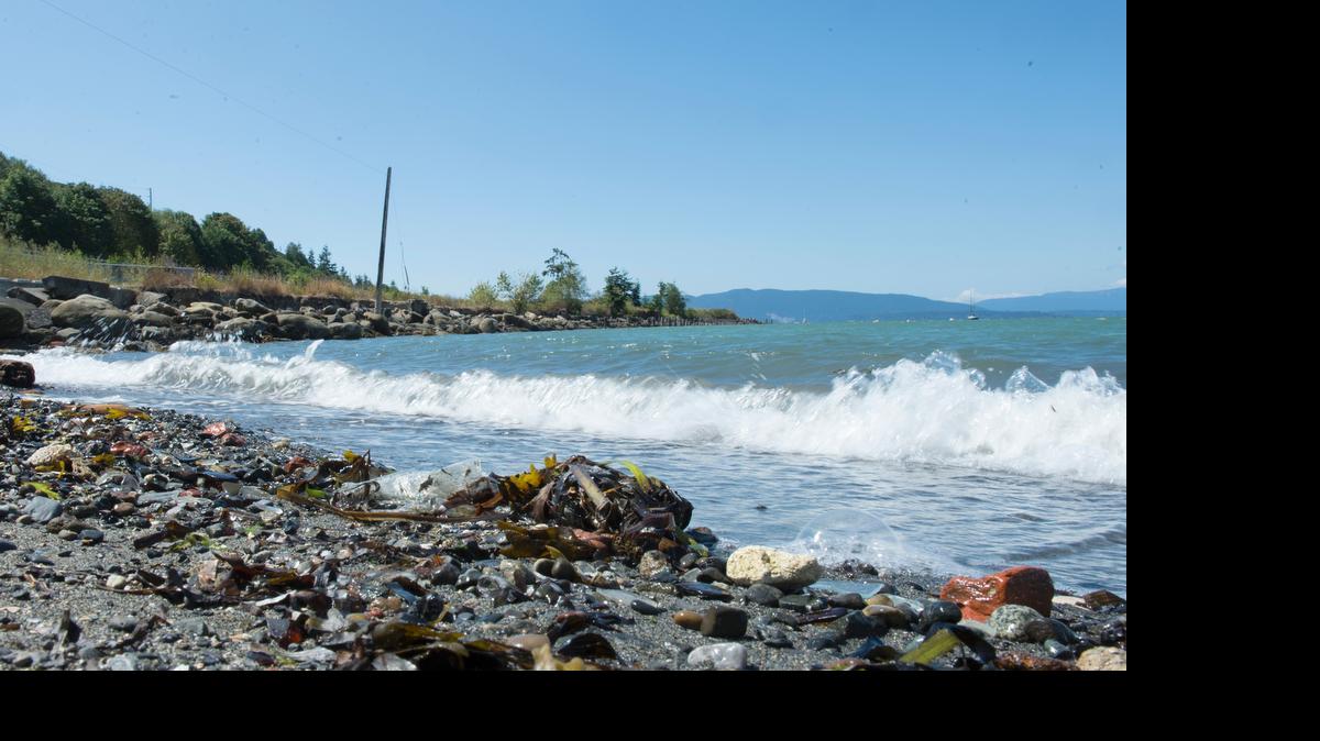 
The Cornwall Avenue beach on Bellingham Bay Thursday, July 23, 2015. The Cornwall park would be one of the projects that could get attention and money under the next round of Greenways funding, called Greenways IV, if voters approve it.
