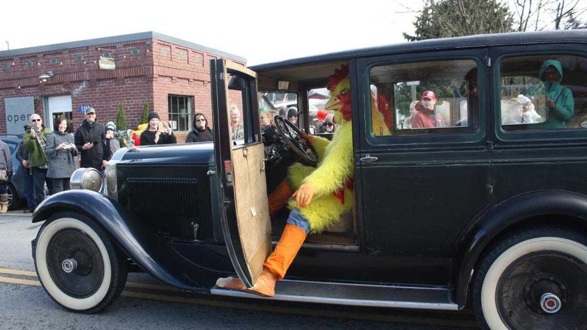 The feathered driver of a vintage Packard stops to show the crowd some chicken leg at the Edison chicken parade Sunday, Feb. 28, 2016.
