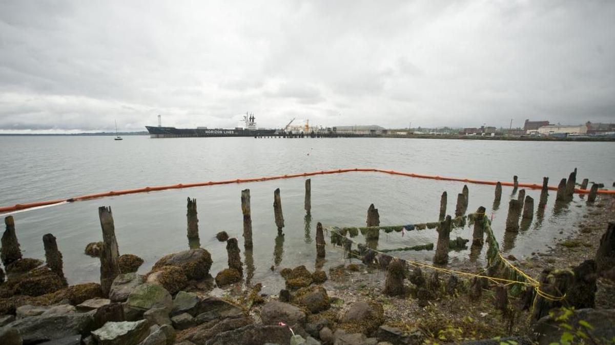 
A boom to control oil seepage is visible in this May 21, 2013, photo of the R.G. Haley site on Bellingham Bay. The oil was taken care of in a previous cleanup plan. The city is seeking comment on its current plan for dealing with contamination as the area is converted into a city park.
