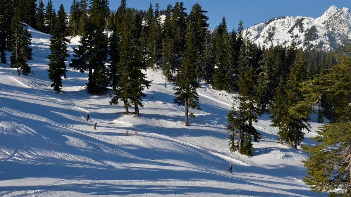 Mt. Baker Ski Area, Nov. 19, 2015.