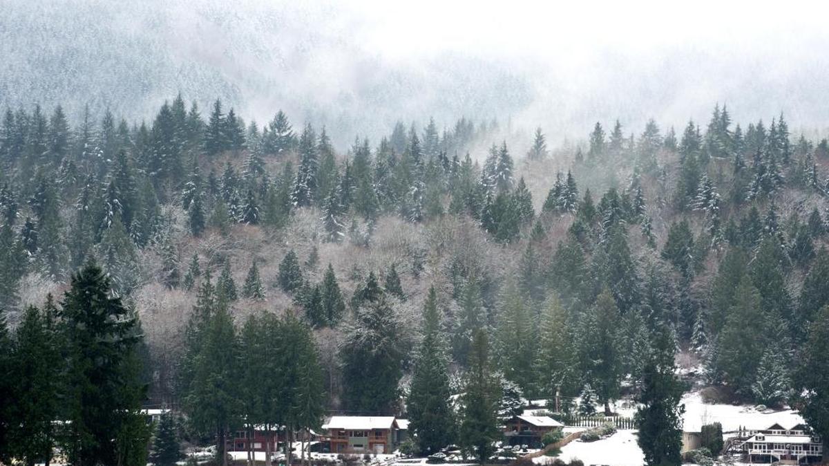 Light snow falls on tree branches and rooftops of homes on the shore of Lake Samish Wednesday, Dec. 23, near Bellingham.