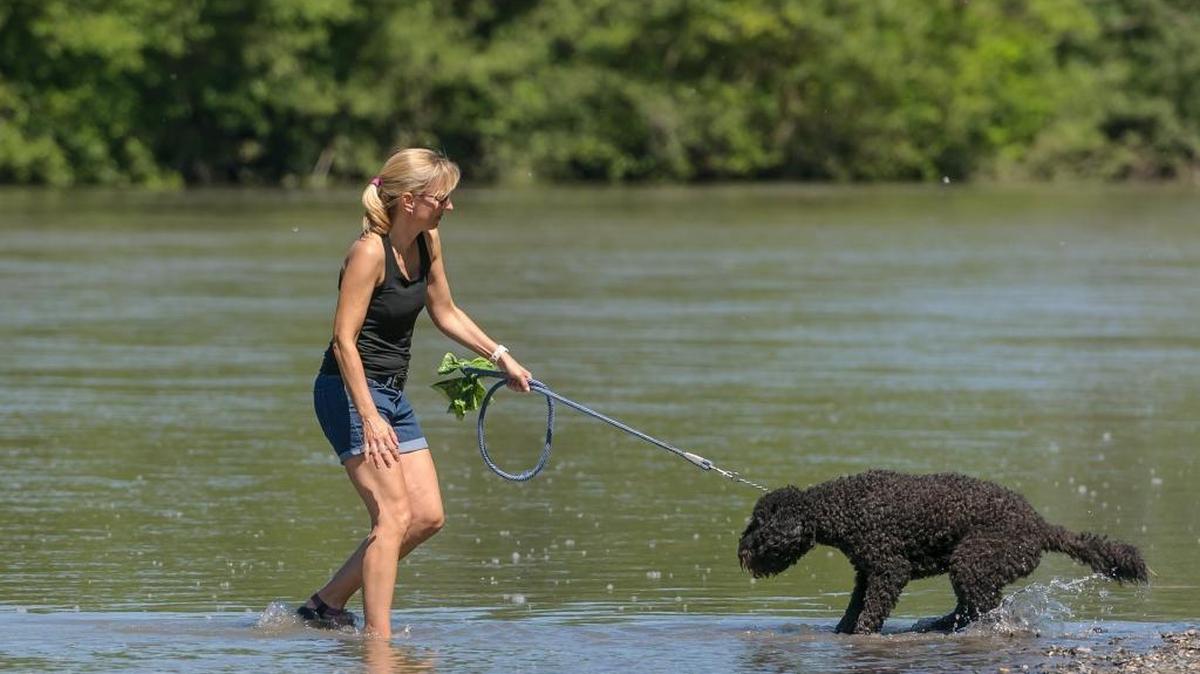 A woman plays with her dog along the beach of the Nooksack River at Ferndale, May 28, 2017. A heat advisory has been issued for this weekend, but the National Weather Service says lakes and rivers will remain cold.