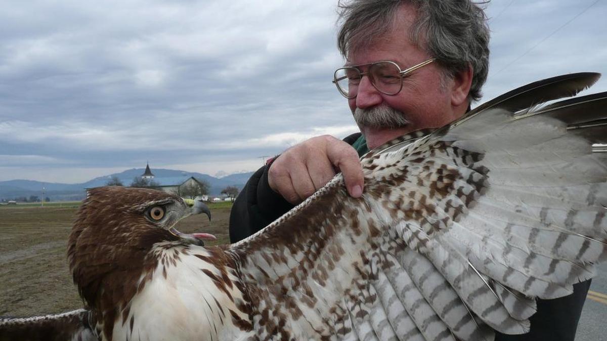 Biologist Bud Anderson, shown with a red-tailed hawk, will teach a five-week course about raptors beginning Jan. 7, 2016.