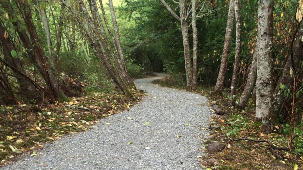 This new gravel trail is taking people around wetlands in Fairhaven Park. Recreation Northwest led the effort, which was the first part of a trail project.