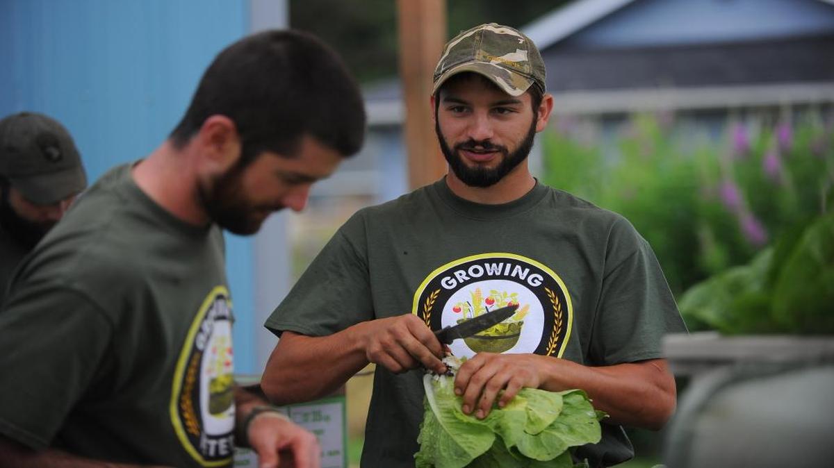 In this 2014 photo, Growing Veterans Director Chris Brown, left, talks to veteran Billy Pacaccio while processing lettuce at the nonprofit program’s organic farm south of Lynden. The program has won a three-year, $175,000 grant to train veterans to be effective “peer supporters” for other veterans.