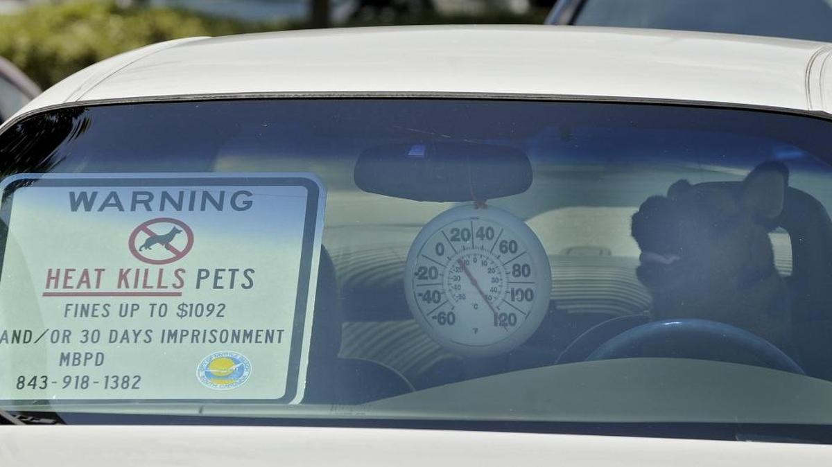 The Myrtle Beach (Fla.) Police Department put a stuffed dog in a closed car with a thermometer July 31, 2012, to demonstrate the dangers of leaving a pet in a car on a warm day. The temperature inside quickly reached 120 degrees.