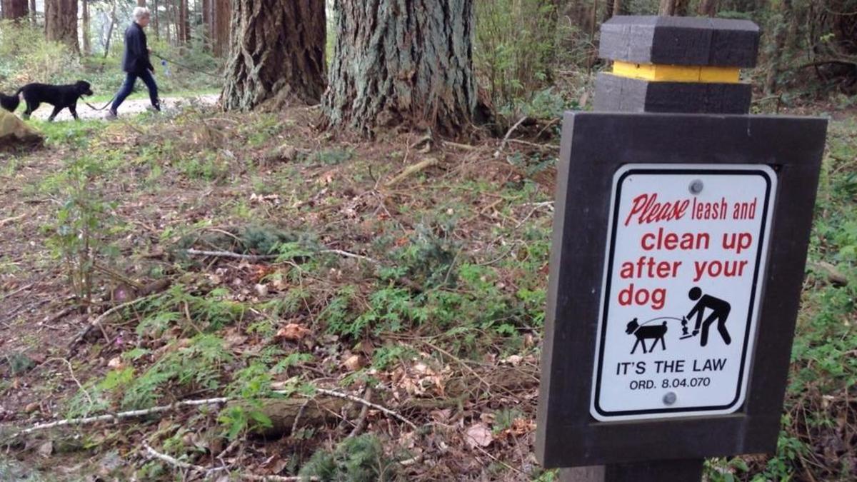 Many Bellingham-area residents said they are seeing an increase in dog waste that’s bagged properly, but left by the side of the trail instead of in the trash.