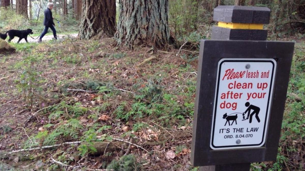 Many Bellingham-area residents said they are seeing an increase in dog waste that’s bagged properly, but left by the side of the trail instead of in the trash.