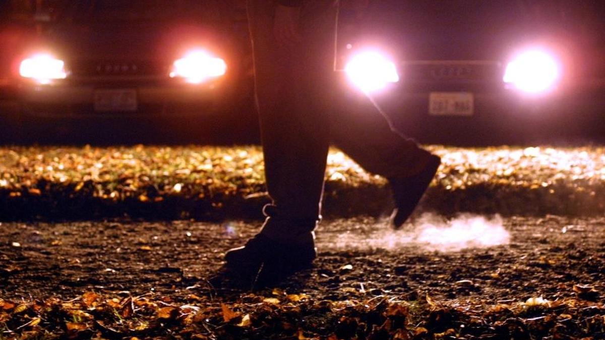 
Whatcom County drivers can get free inspections of their vehicle lights, as well as replacement of faulty standard exterior vehicle bulbs free of charge on Saturday, Oct. 3.
