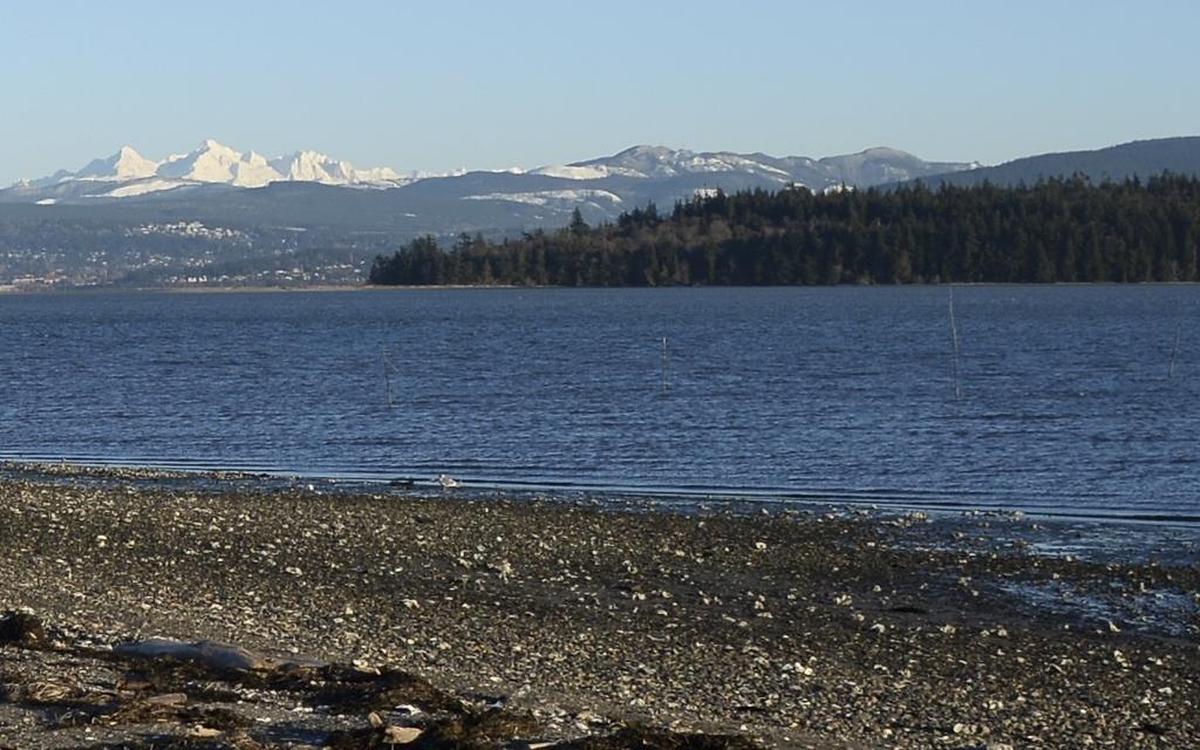 A view of beach at Portage Bay off Lummi Shore Drive in 2017.