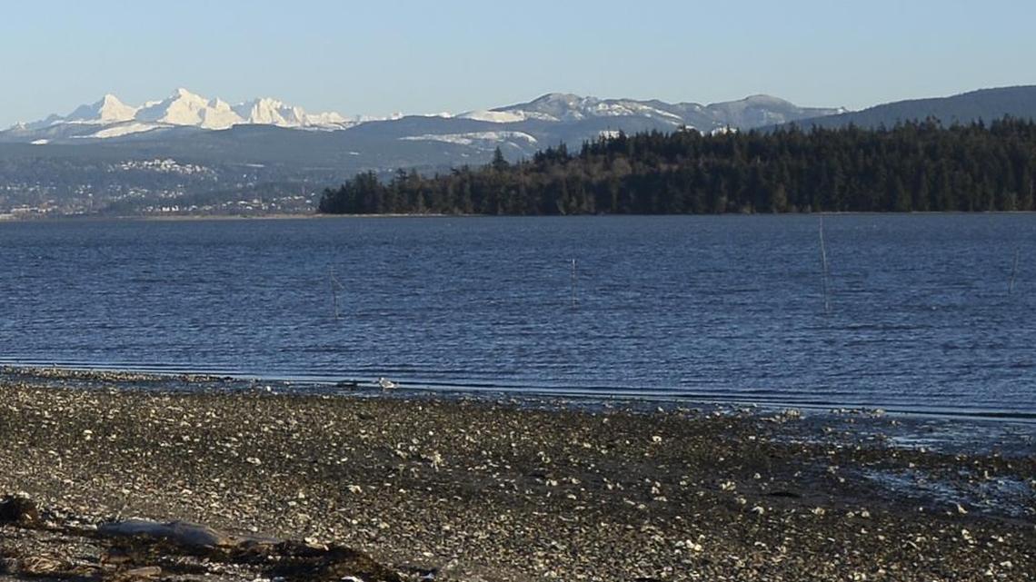 Popular Whatcom Co. shellfish site could see restrictions lifted as water quality improves