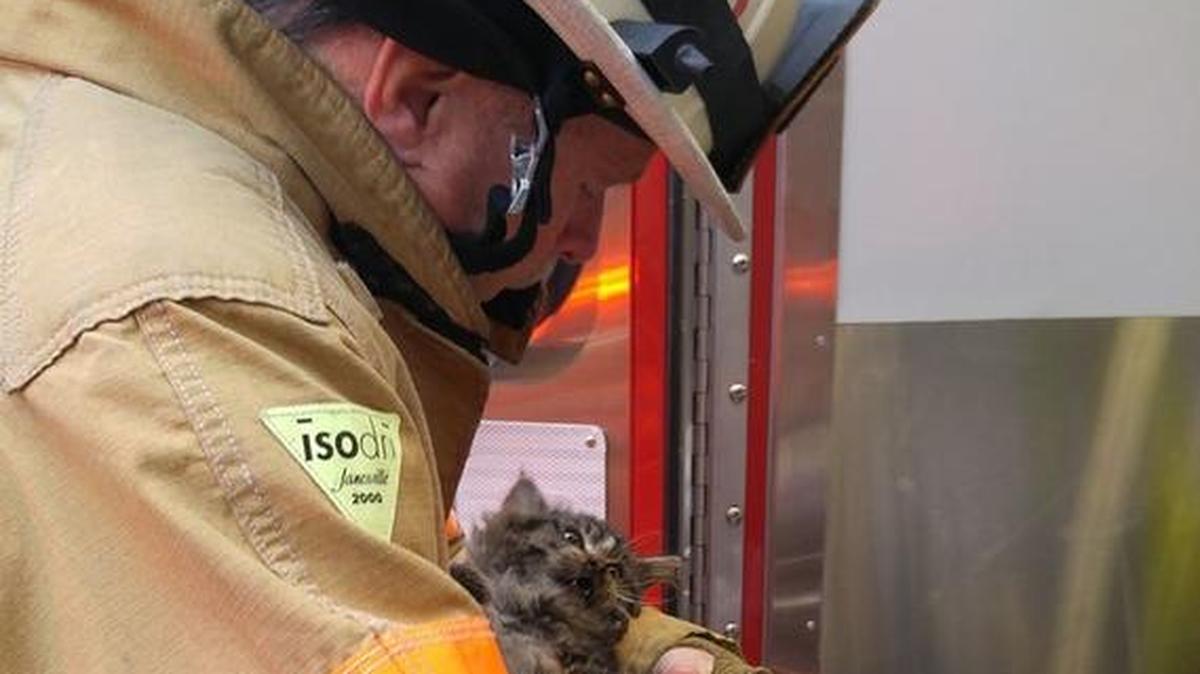 South Whatcom Fire Chief Dave Ralston comforts a kitten that firefighters rescued and resuscitated after a fire Sunday, December 3 in the rural community of Glenhaven.