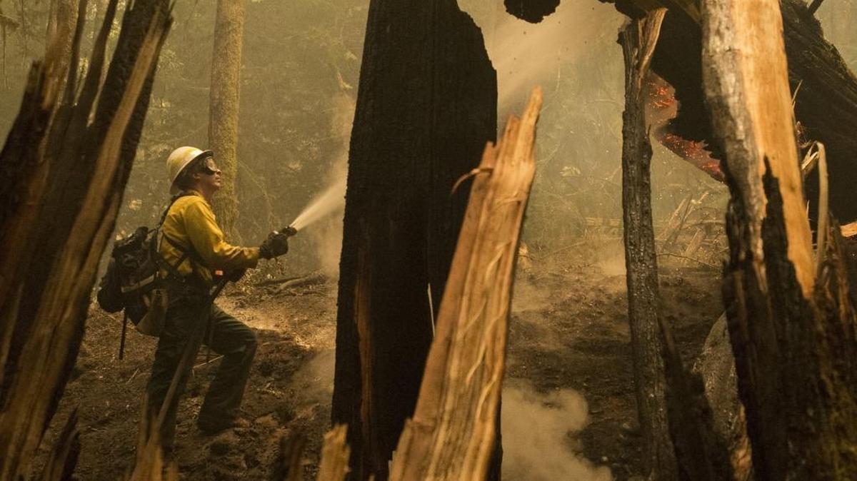 Firefighter Jay Flora extinguishes flames on a fallen tree along the Trail of the Cedars on Wednesday, Aug. 26, near Newhalem, Wash. It was among the wildfires that firefighters fought during a hot, dry summer.