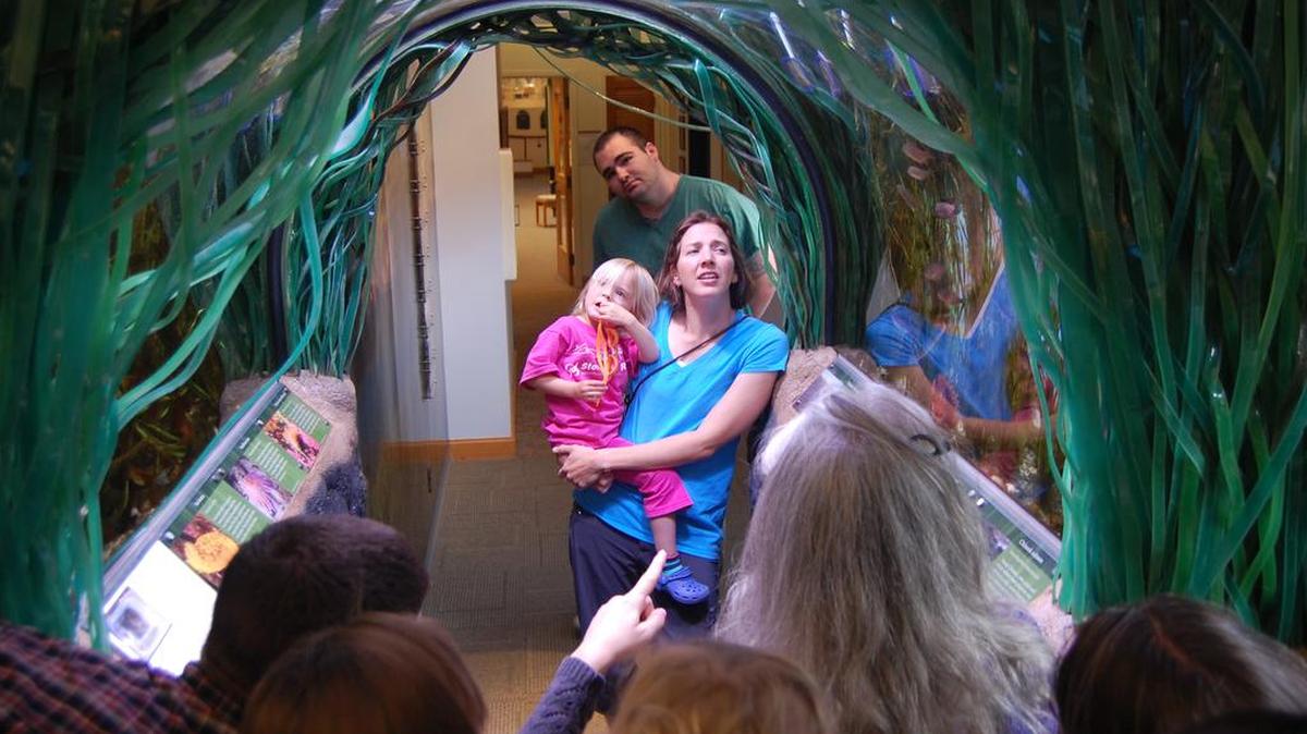 Visitors to the Breazeale Interpretive Center examine the side-by-side aquariums that comprise an exhibit on eelgrass, an important estuarine plant that’s plentiful in Padilla Bay.