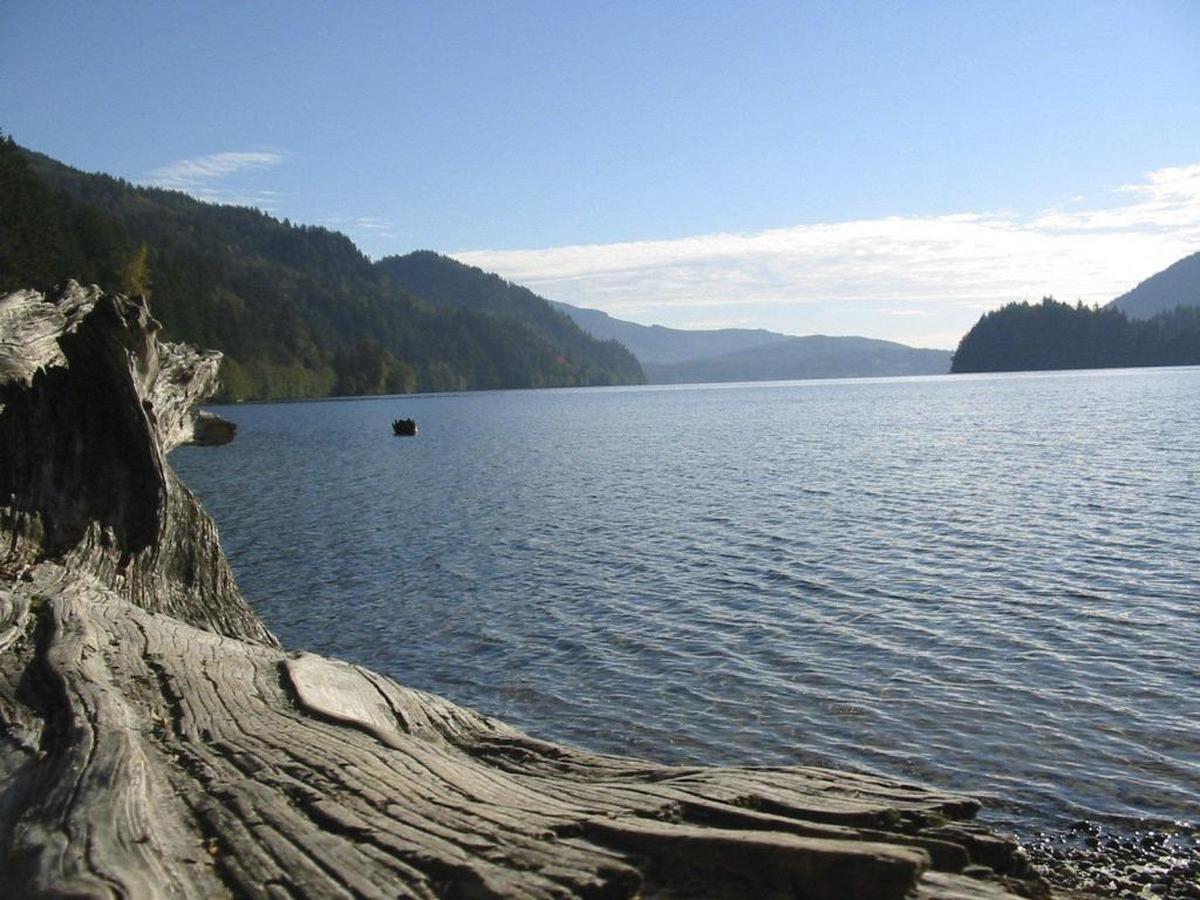 View of Lake Whatcom from the Hertz Trail.