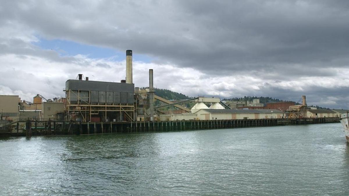 A view of Georgia-Pacific West site from across Whatcom Waterway in Bellingham. The public has until Nov. 1 to comment on a plan to move mercury-contaminated soil that’s been sitting on the site to an approved landfill.