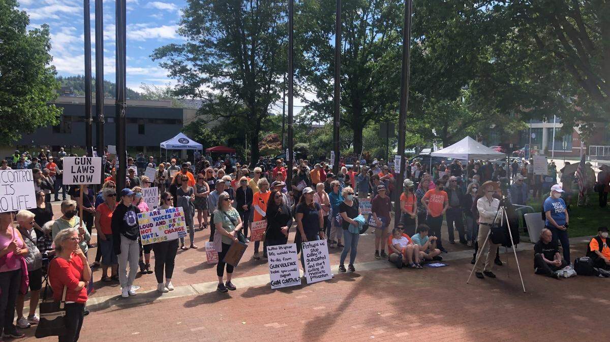 More than 100 people gather at a rally for gun control on Saturday, June 11, at Bellingham City Hall.