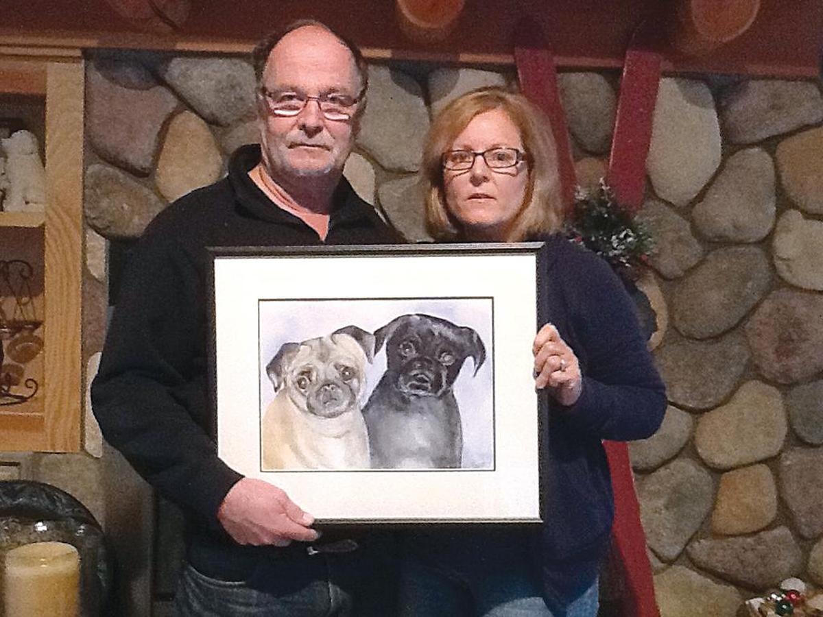 Bill, left, and Renee Bliss of Bellingham, pictured with a drawing of their two pugs, Maggie, left, and Milo. Milo, 8, and Maggie, 10, died in early November 2012 after eating poisonous mushrooms in the family's yard.