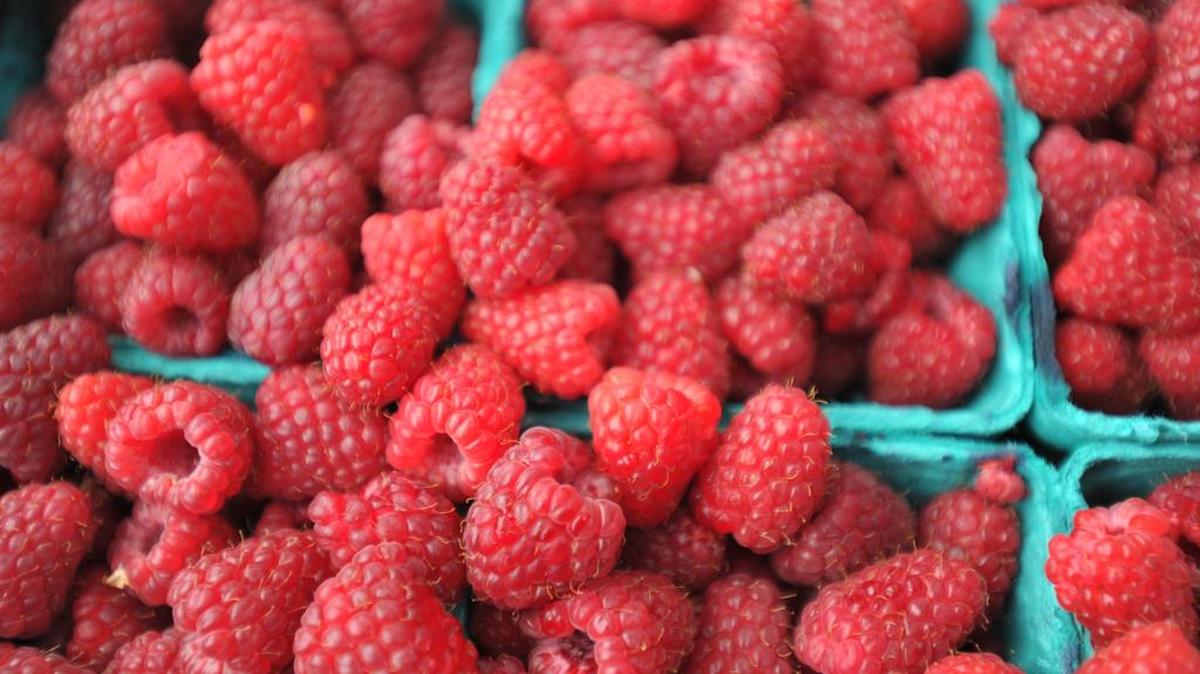 A Whatcom County berry farmer has agreed to pay a reduced fine after being penalized for illegal water use and not supplying water records for two farms in the Nooksack River basin.