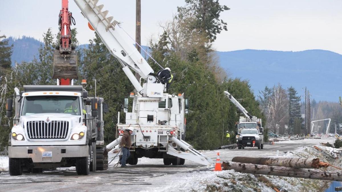ice storm damage