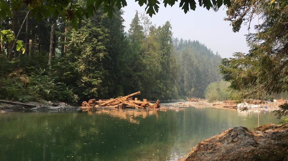 The Skookum Creek is included in the Nooksack Watershed restoration project.