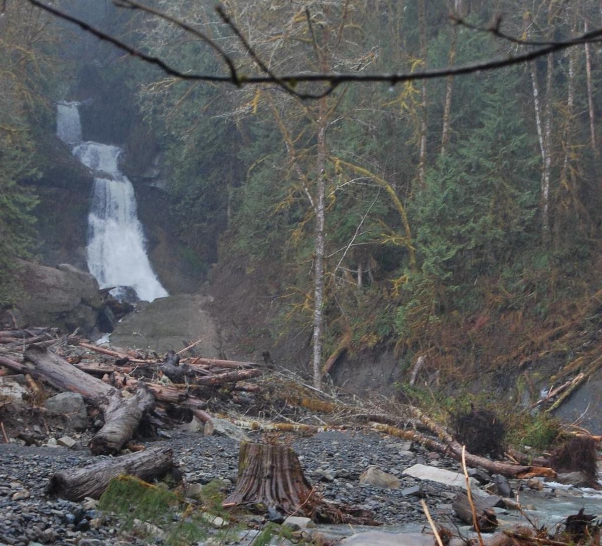 Racehorse Falls cascades over a series of rock ledges near the popular Racehorse Creek, which is in a steep gorge in the Mount Baker foothills.