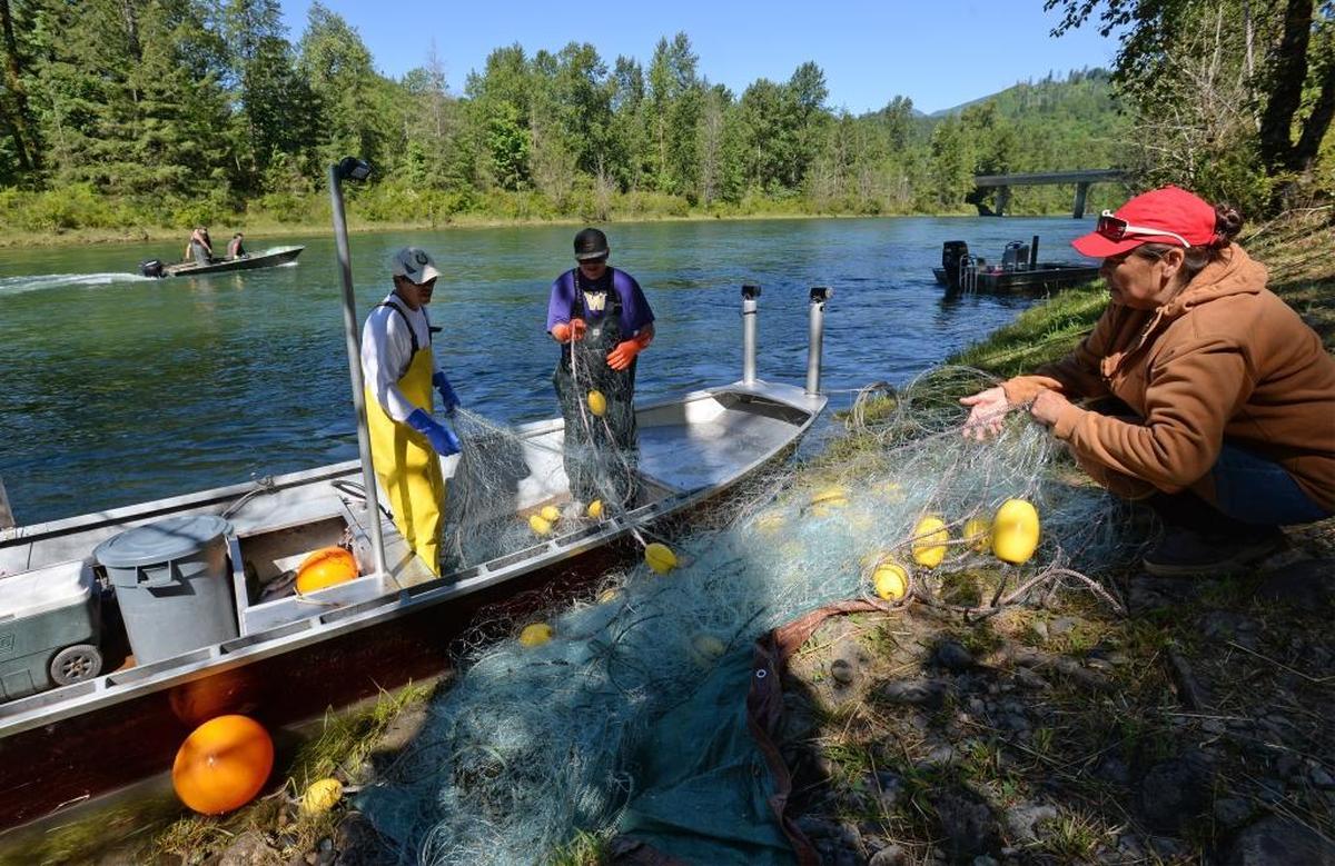 Upper Skagit tribal fishers unload a net from their boat while fishing for sockeye salmon on the Baker River near the town of Concrete in 2017. When the federal government authorized construction of the Skagit River dams in the early 1900s, the ancestors of members of the Upper Skagit tribe felt a waterway integral to their beliefs, way of life and survival was being stolen from them. Generations later, tribal members continue to feel the sting.