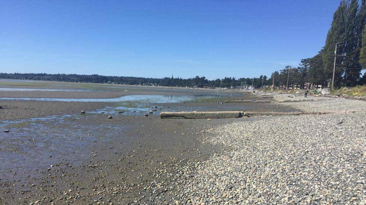 The Whatcom County Parks and Recreation Department has received a $500,000 grant from the state to improve Birch Bay Beach Park.