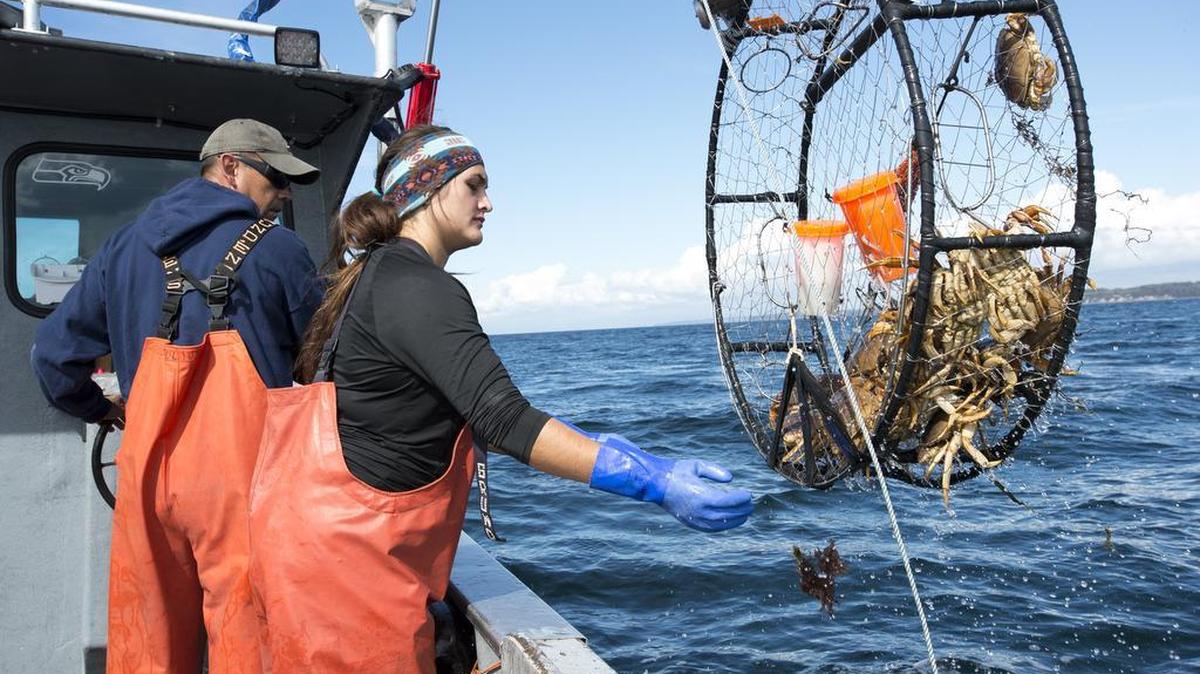 Jay Julius and his daughter Teja Julius pull a crab pot from the water on Sept. 15, 2015, near Cherry Point in Washington. Julius, a Lummi tribal member, said a proposed coal terminal nearby would threaten the tribe’s ability to harvest crab and salmon. On May 9, 2016, the U.S. Army Corps of Engineers denied a required permit for the terminal, dealing a possibly fatal blow to the project.