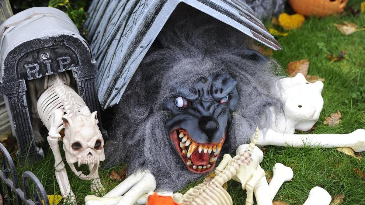 
John Laigaie sets up his annual Halloween display Thursday, Oct. 30, 2014, at Electric Avenue in Bellingham.
