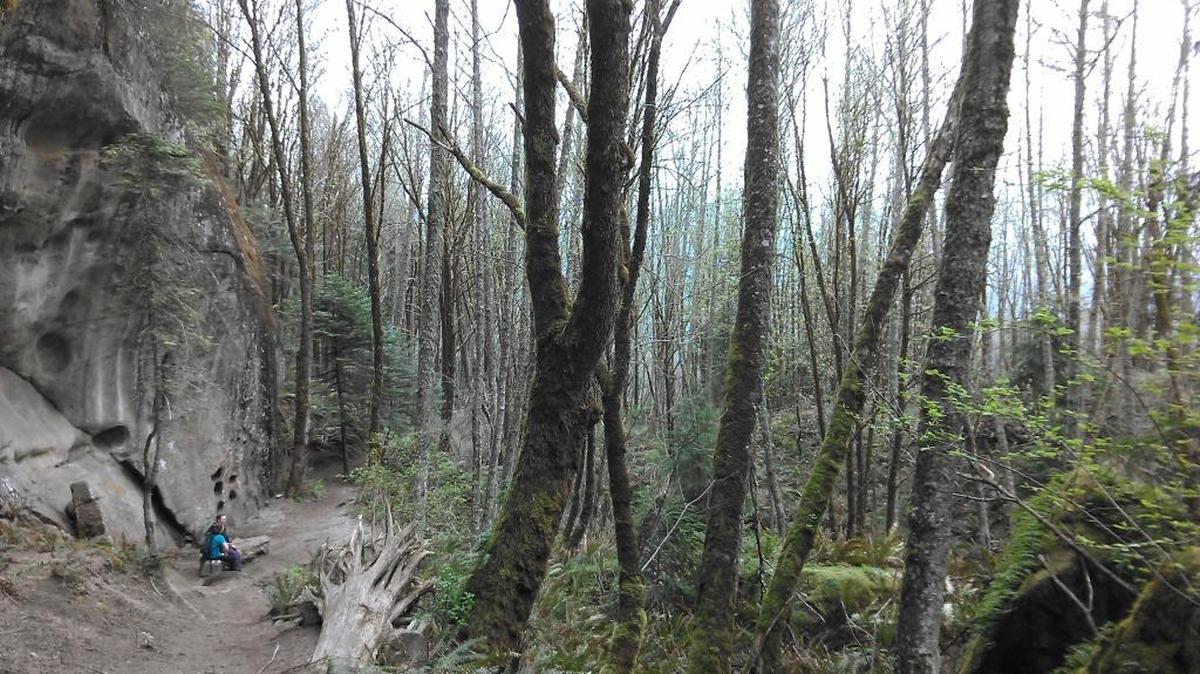 Hikers take a breather April 2, 2016, while on the Rock Trail in Larrabee State Park near Bellingham.