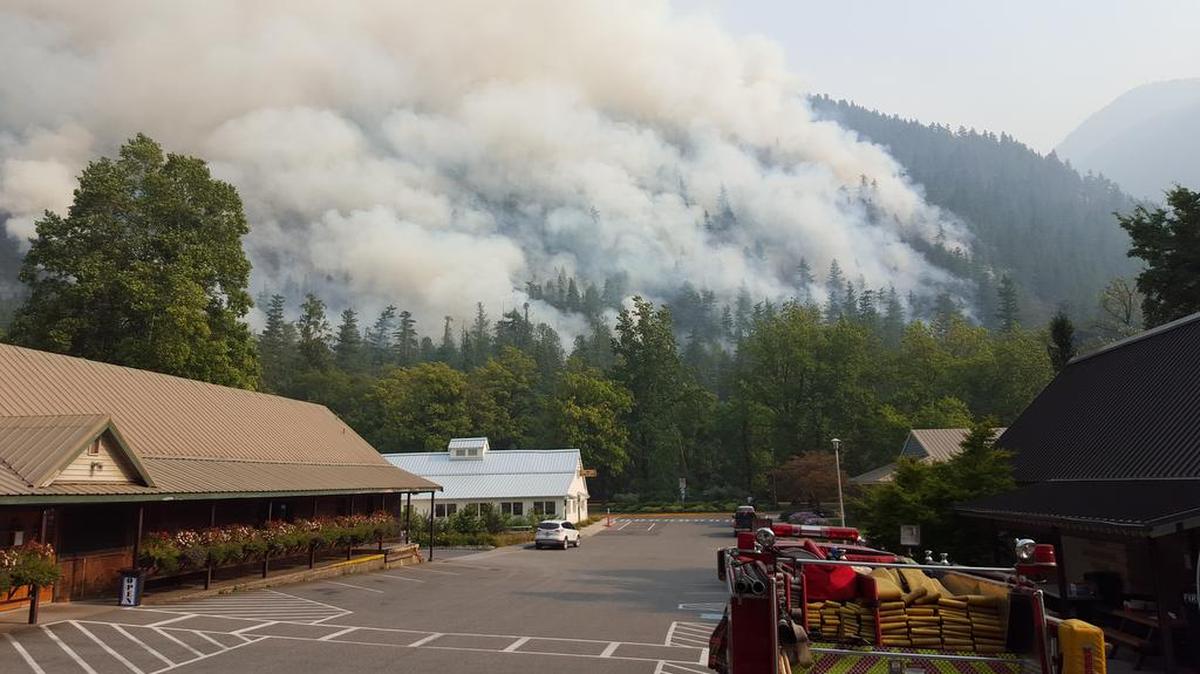 Fire burns in timber near Newhalem on Sunday, Aug. 23. Firefighters from Whatcom County and elsewhere were assigned to protect buildings in the town.
