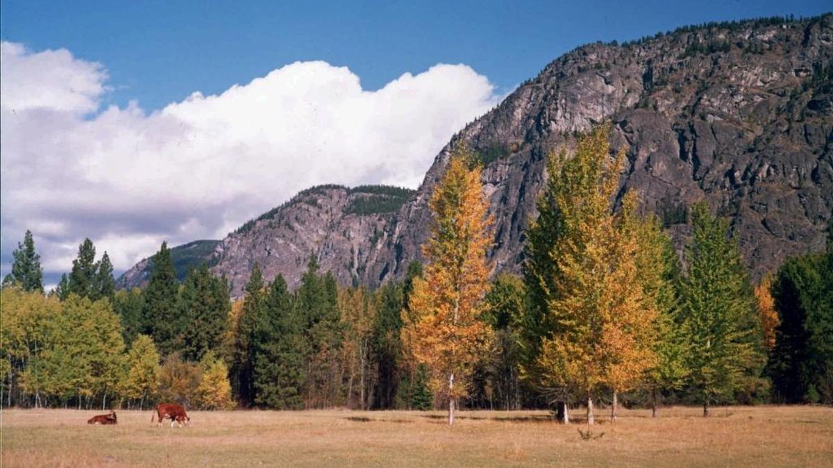 Goat Wall, a landmark within the Arrowleaf property in the Methow Valley in Washington is shown in this undated file photo.