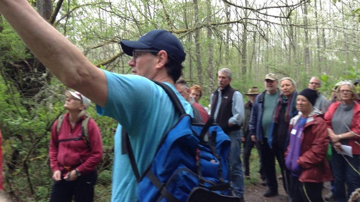 Todd Elsworth of Recreation Northwest, center, leads a hike through the Hundred Acre Wood in spring 2017.