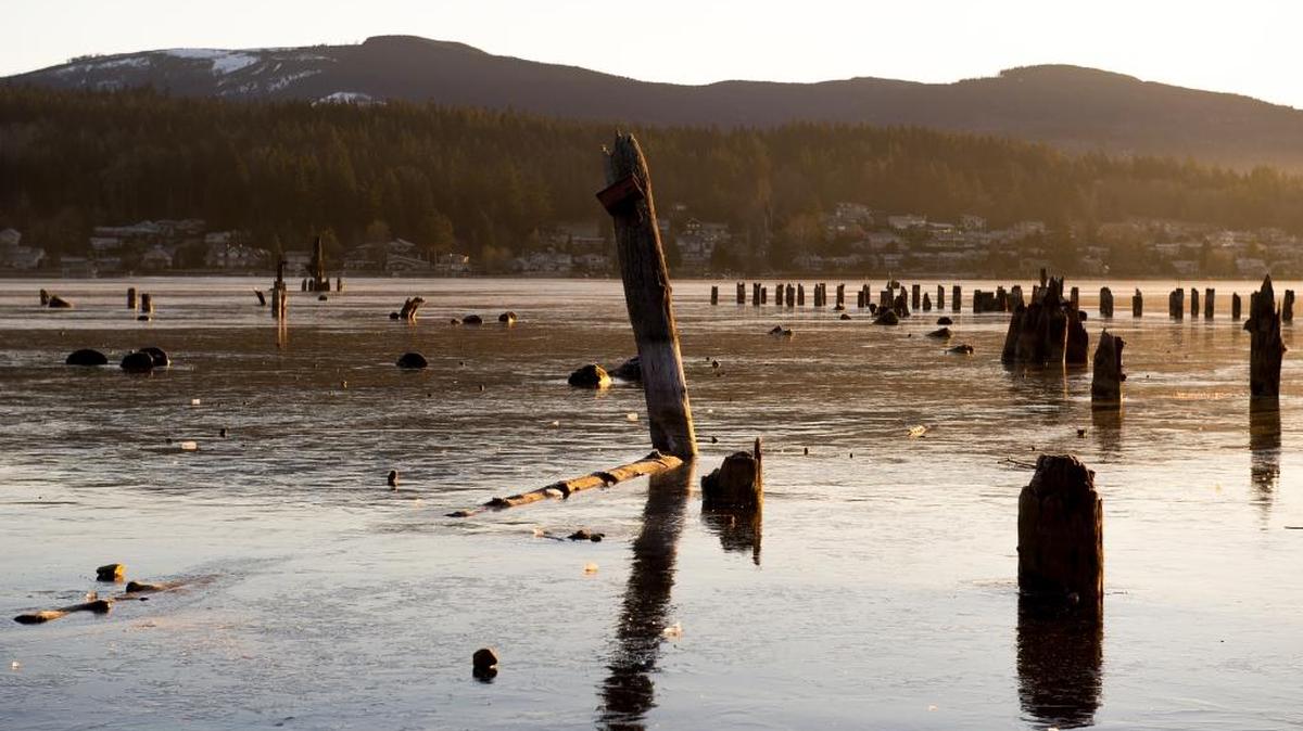 Pilings in Lake Whatcom rise from the water near the boat launch at Bloedel Donovan Park on the lake’s western shore in 2017.