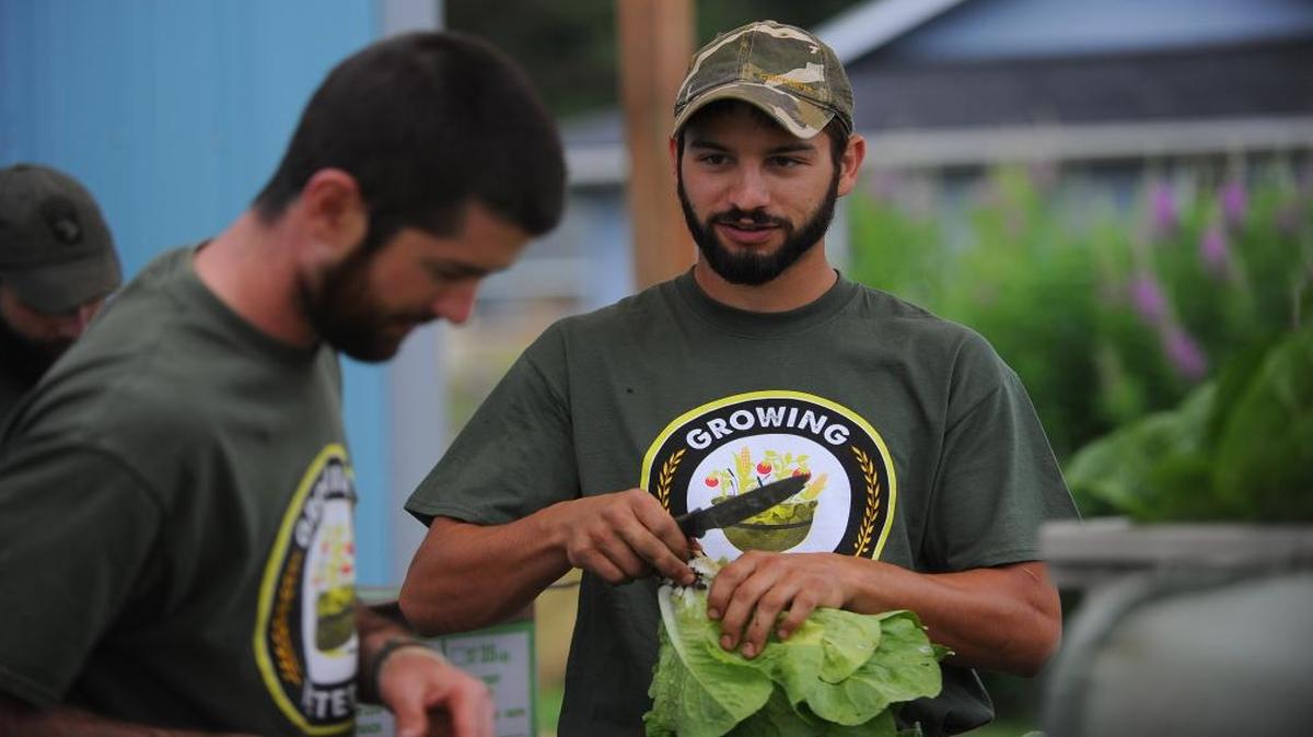 In this 2014 photo, Growing Veterans Director Chris Brown, left, talks to veteran Billy Pacaccio while processing lettuce at the nonprofit program’s organic farm south of Lynden. The program has won a three-year, $175,000 grant to train veterans to be effective “peer supporters” for other veterans.
