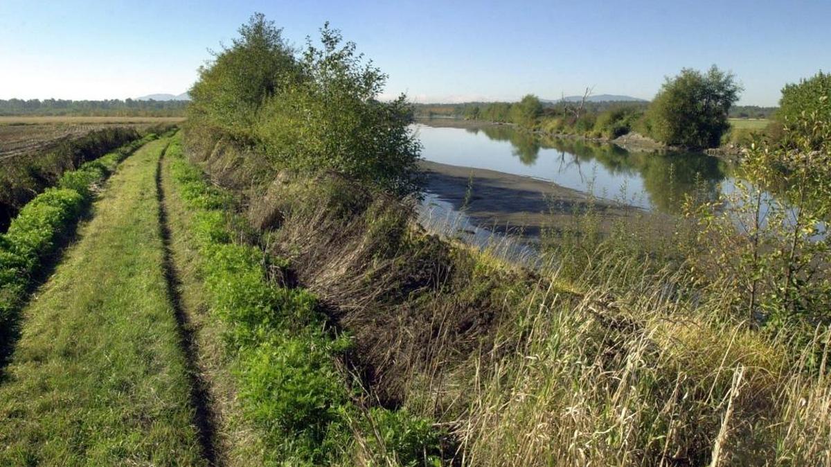 The Nooksack River at Hovander Homestead Park in Ferndale could flood, so Whatcom County Parks and Recreation has closed the park along with the Tennant Lake Interpretive Center and the Fragrance Garden until at least Friday, Dec. 11.