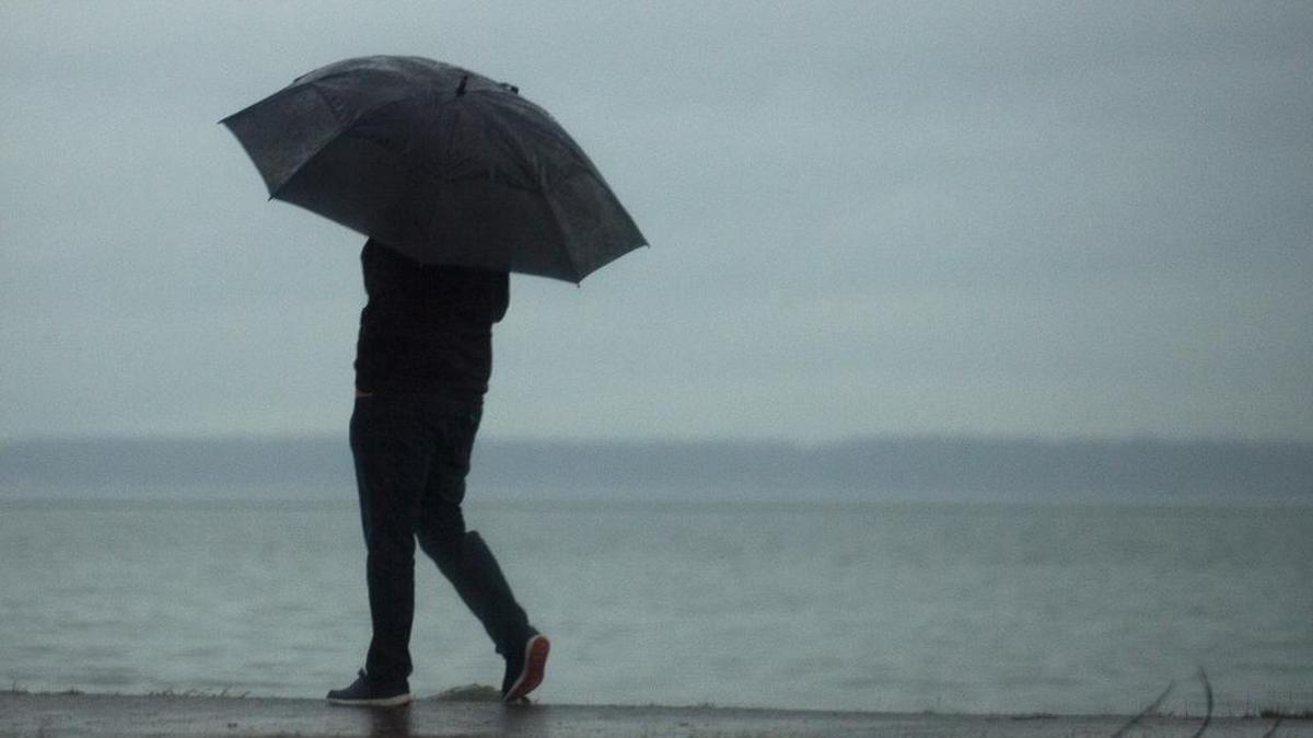 A man walks through rain with an umbrella on Tuesday, Nov. 21, at Boulevard Park in Bellingham.