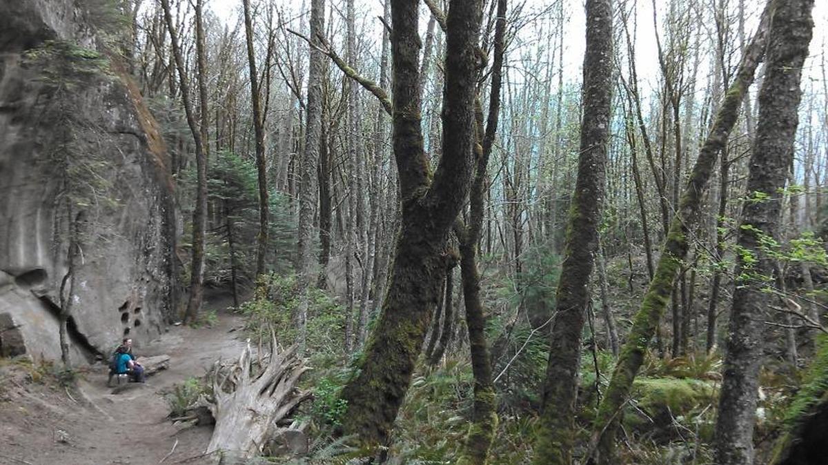 Hikers take a breather April 2, 2016, while on the Rock Trail in Larrabee State Park near Bellingham.